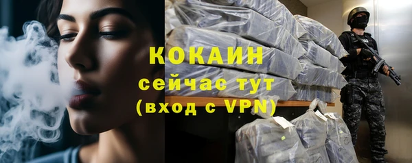 PSILOCYBIN Переславль-Залесский