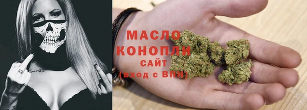 шишки Пестово