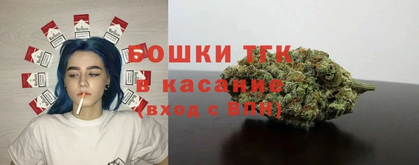 мяу мяу мука Пересвет