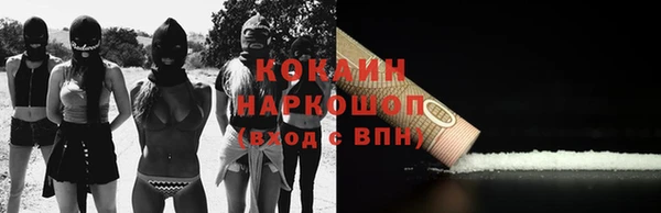 шишки Пестово