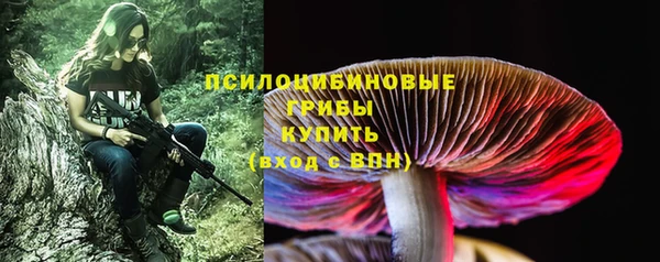 шишки Пестово