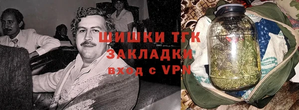 шишки Пестово