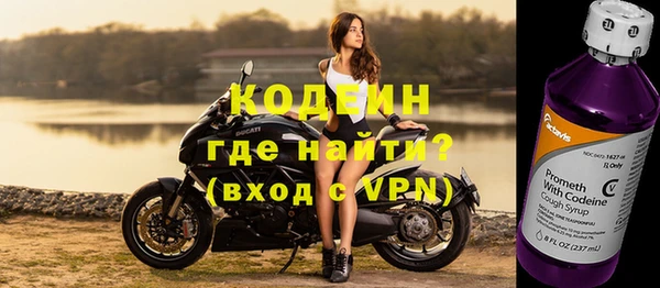 шишки Пестово
