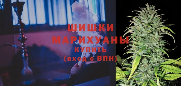 шишки Пестово